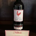Tenuta Agricola La Cava- Cantina E Çiftlik konaklama San Damiano dʼAsti