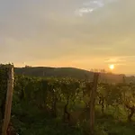 Çiftlik konaklama Tenuta Agricola La Cava- Cantina E