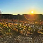 Tenuta Agricola La Cava- Cantina E * San Damiano dʼAsti