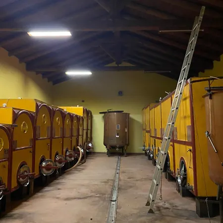 Tenuta Agricola La Cava- Cantina E San Damiano dʼAsti