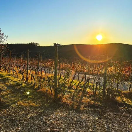 Tenuta Agricola La Cava- Cantina E * San Damiano dʼAsti