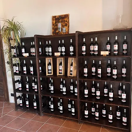 Tenuta Agricola La Cava- Cantina E San Damiano dʼAsti