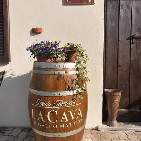 Tenuta Agricola La Cava- Cantina E