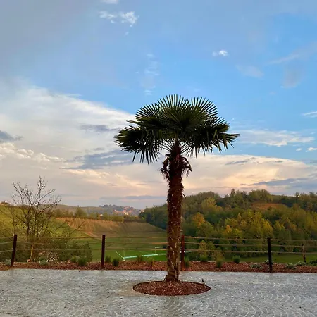 Tenuta Agricola La Cava- Cantina E San Damiano dʼAsti